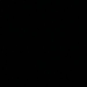 Meet your Posher, Fatima